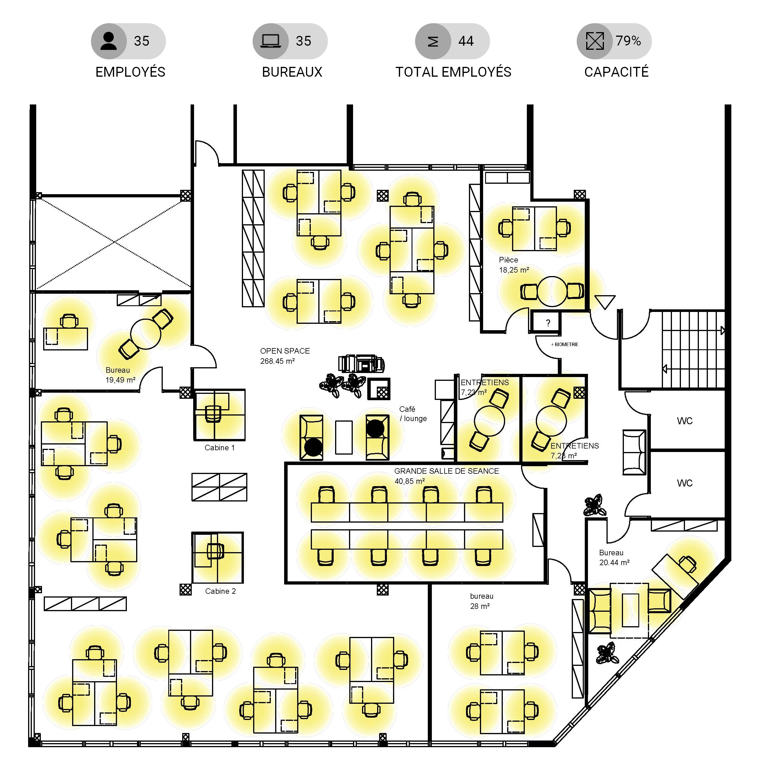 Plan C- Jaune.jpg