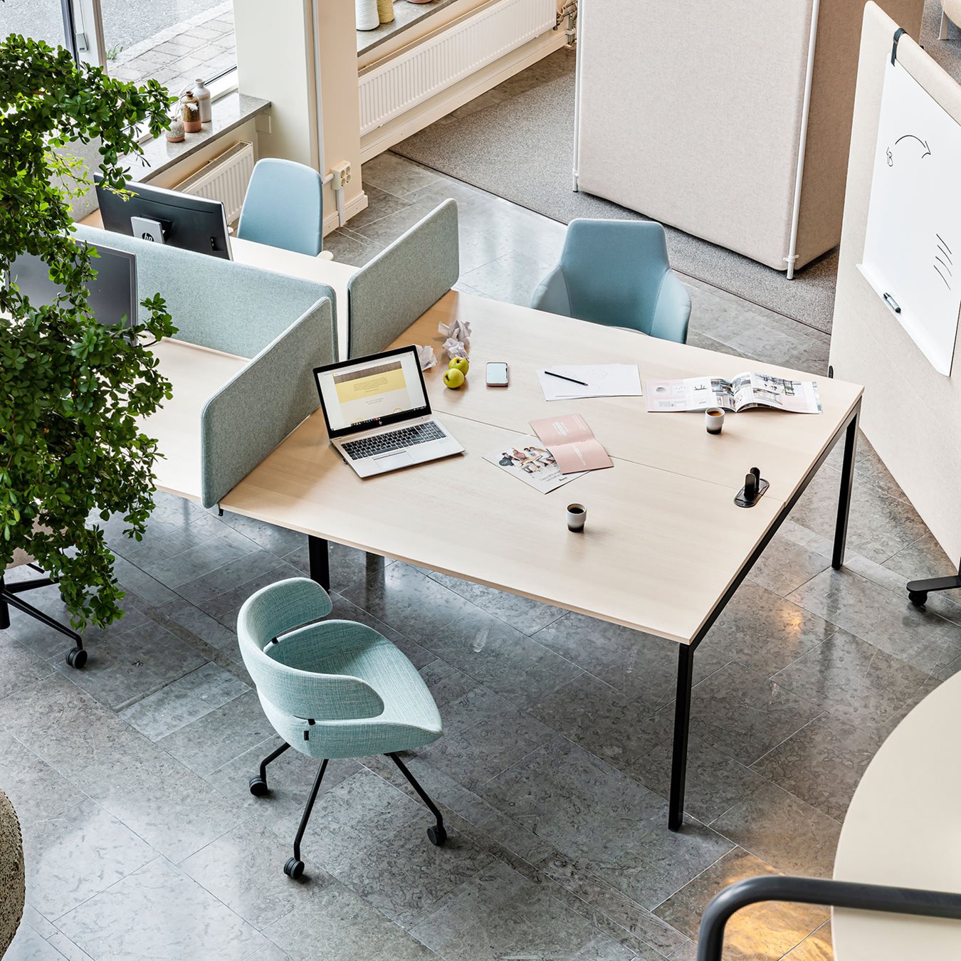 An open workspace with shared light wood desks, light blue office chairs, and partition screens and desk screens in soft tones. A laptop, coffee cups, and documents are placed on the table, while a large green plant adds a natural touch.